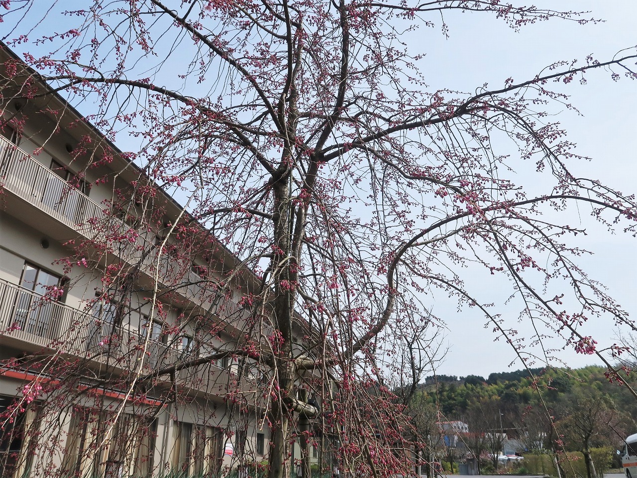 介護老人保健施設 ザ・シーズンの日光浴で気分転換の画像です